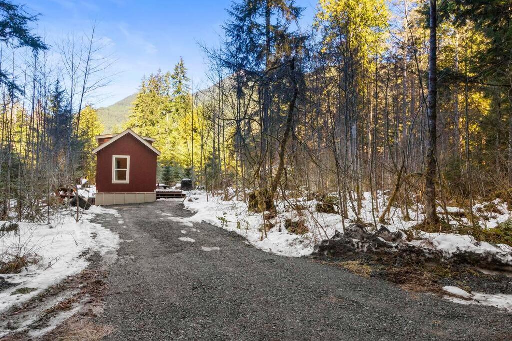 Cozy Tiny Home Steps Away From Mt. Rainier أشفورد المظهر الخارجي الصورة